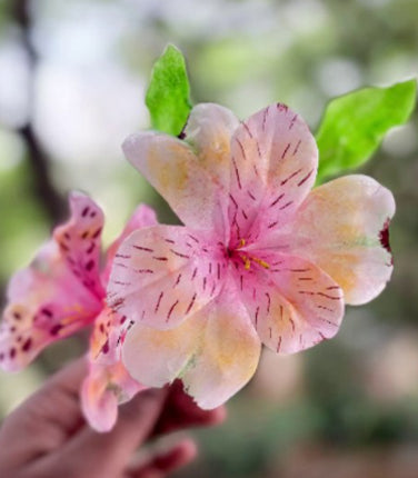 Blossom with Elegance: How to make Wafer Paper Flowers with Tastycrafts